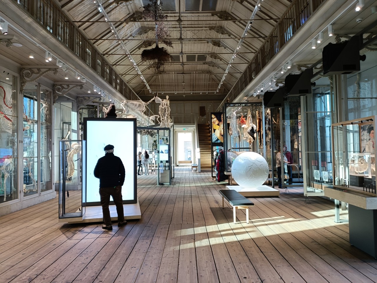 Artis-Groote Museum in Amsterdam - Accessibility - Blog